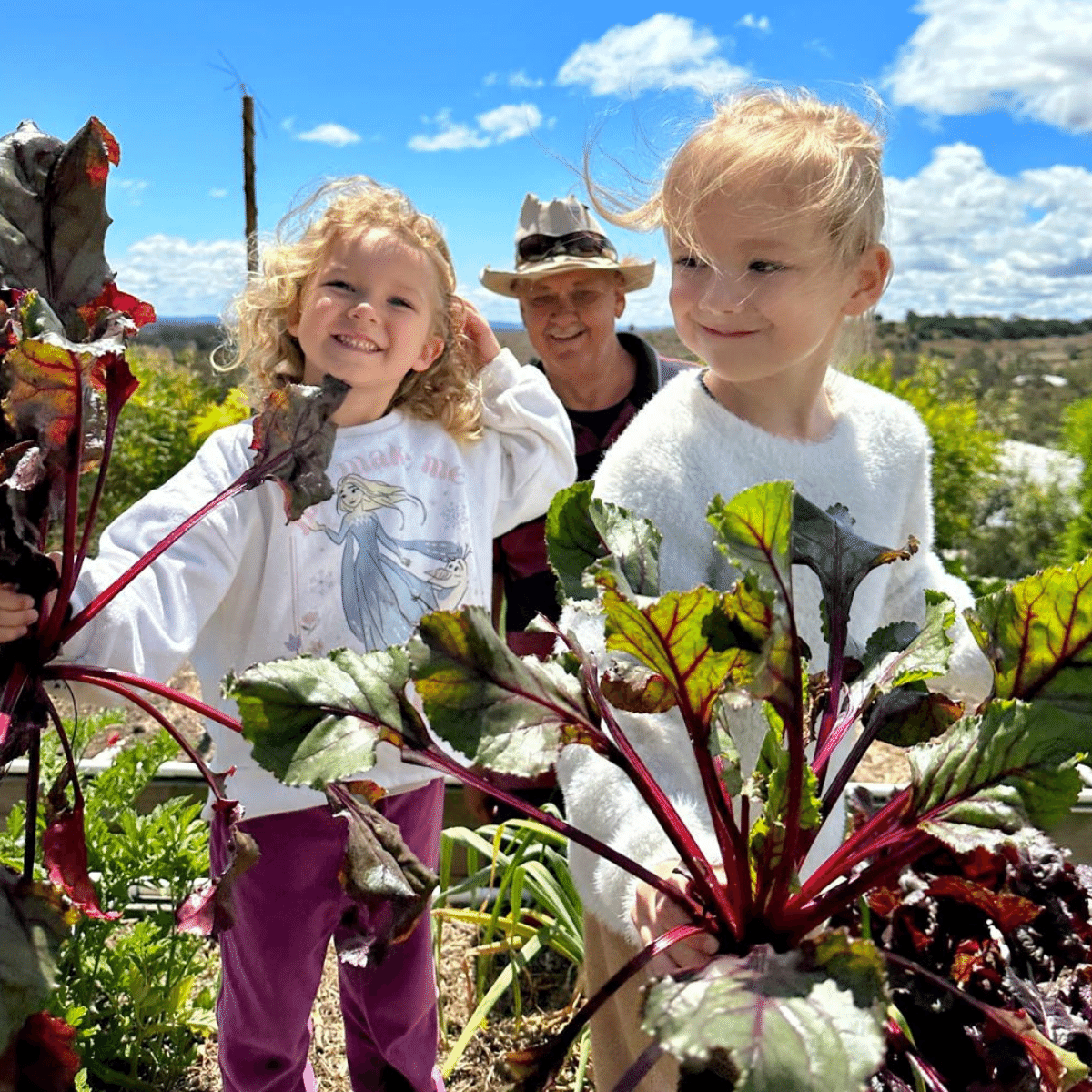 Survival Seeds- Seeds for Kids