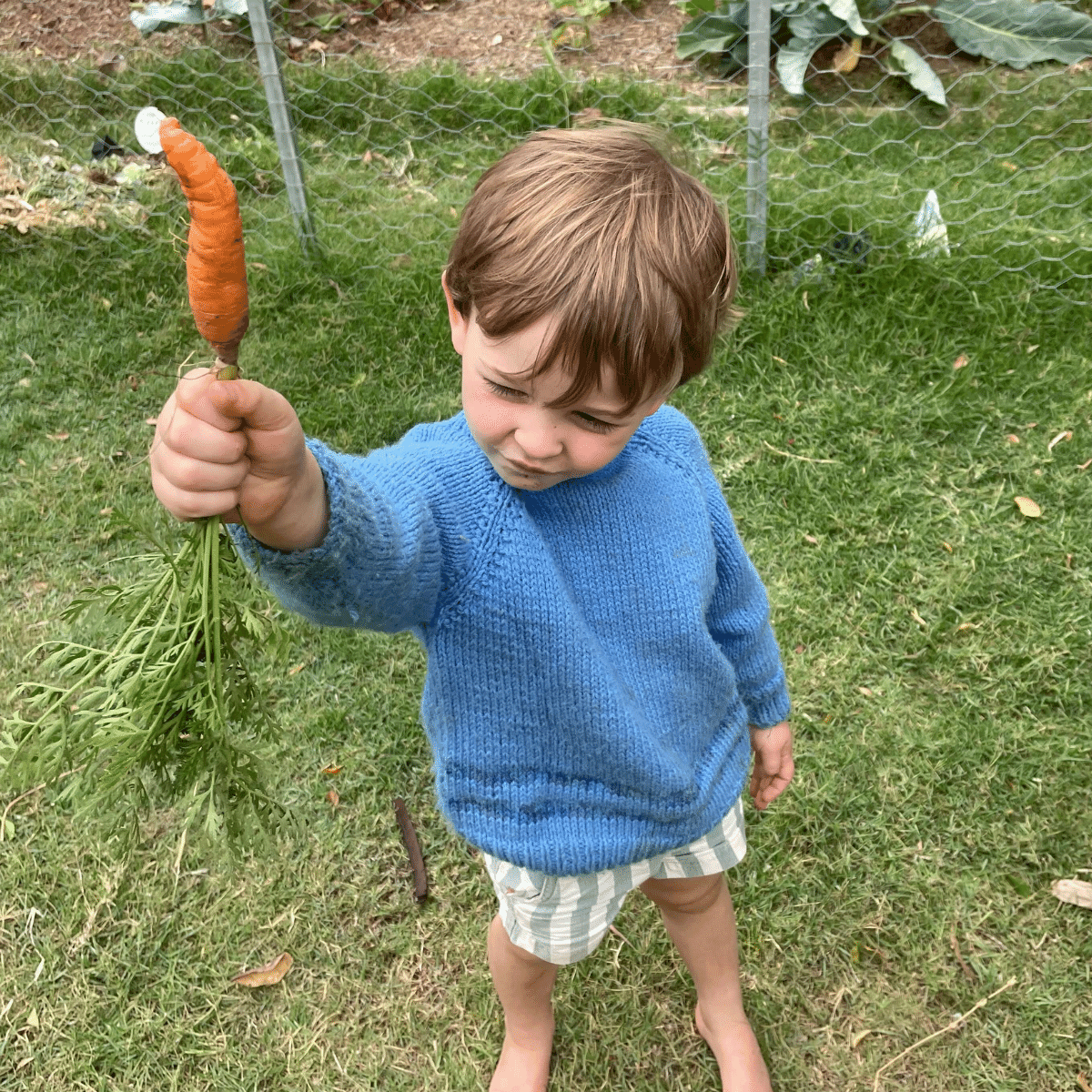 Survival Seeds- Seeds for Kids
