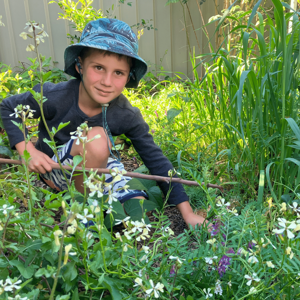 Survival Seeds- Seeds for Kids