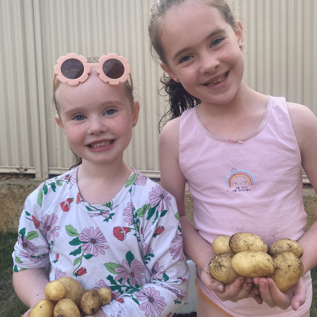 Survival Seeds- Seeds for Kids
