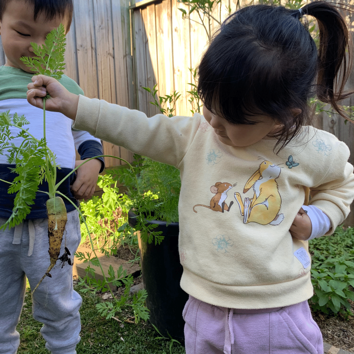 Survival Seeds- Seeds for Kids