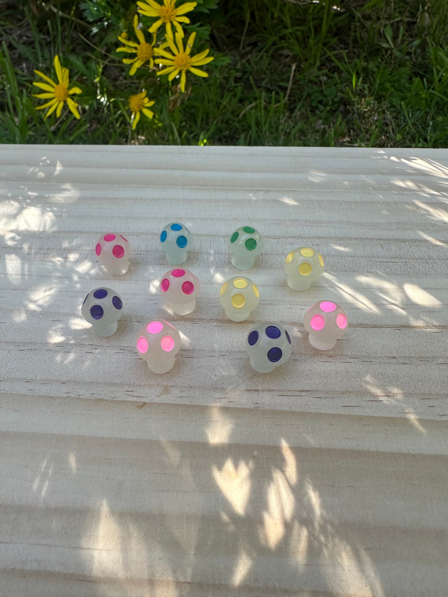 Mini Mushrooms