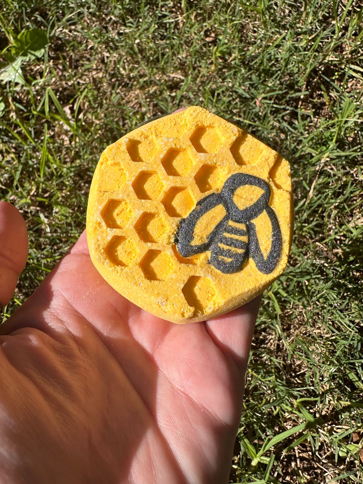 Bee Curious FizzOFoam kit